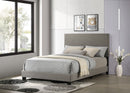 Dorian Fabric Upholstered Panel Bed Taupe