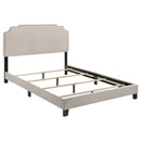Tamarac Upholstered  Panel Bed Beige