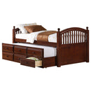 Norwood 3-drawer  Bed with Captains Trundle Chestnut