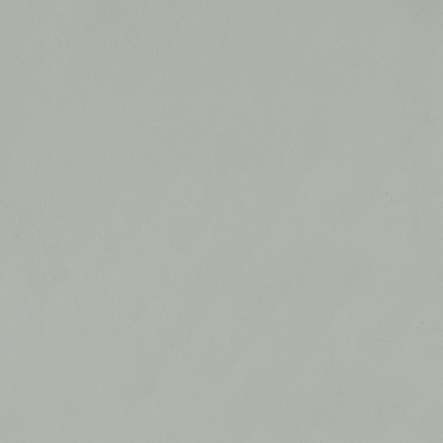 Thermosolis - Clear Acrylic Chair (Set of 2)