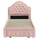 Ashleigh 44-inch Upholstered Storage Platform Bed Pink