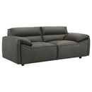 Buxton 2-piece Leather Upholstered Sofa Set Graphite
