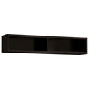 Lewes 2-door Engineered Wood 60-inch TV Stand Cappuccino