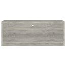 Burke 2-door Engineered Wood TV Stand Grey Driftwood