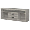 Burke 2-door Engineered Wood TV Stand Grey Driftwood