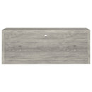 Burke 2-door Engineered Wood TV Stand Grey Driftwood