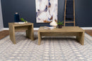 Lynette Rectangular Coffee and End Table Set Mango