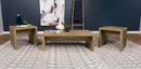 Lynette Rectangular Coffee and End Table Set Mango