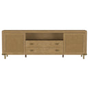 Arini Rattan Cane 2-door TV Stand Media Console