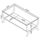 Saide Rectangular Glass Top Coffee Table Chrome