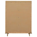 Coaster Furniture Arini 5-Drawer Chest 224305 IMAGE 6