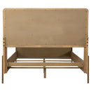 Coaster Furniture Arinia Queen Upholstered Panel Bed 224300Q IMAGE 6