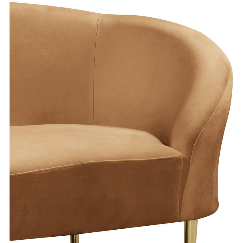 Meridian Ritz Saddle Velvet Chair IMAGE 5