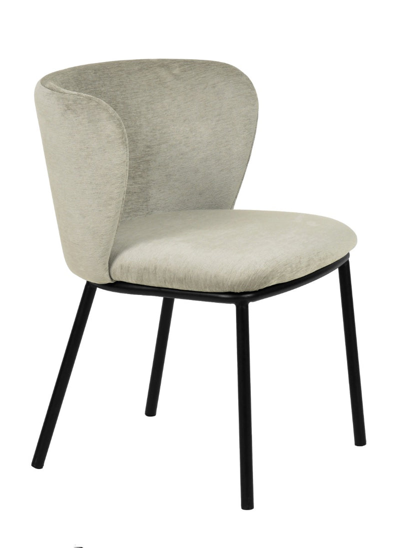 Modrest Bessie - Modern Grey Dining Chair Set of 2