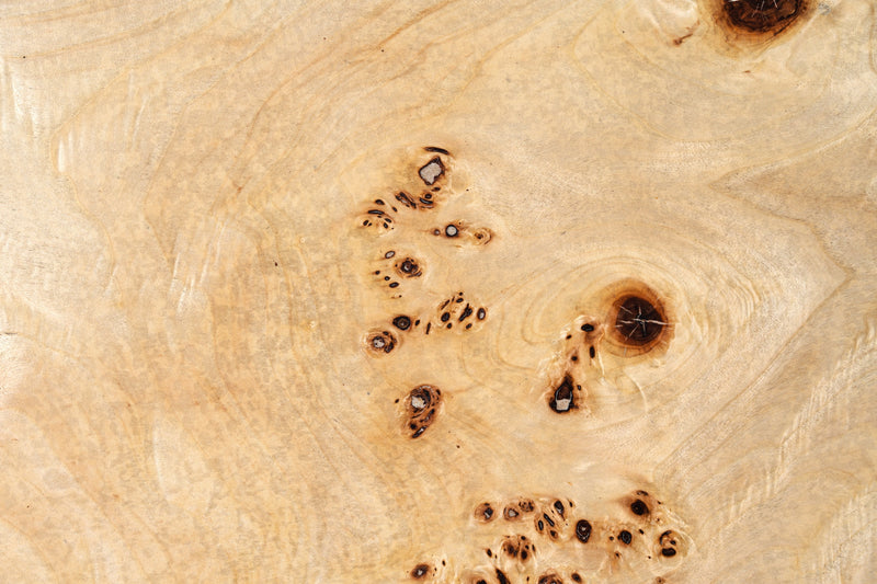 Modrest July - Modern Mapa Burl Round Coffee Table