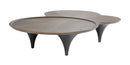 Modrest Beulah - Modern Free Form Dark Ash Coffee Table