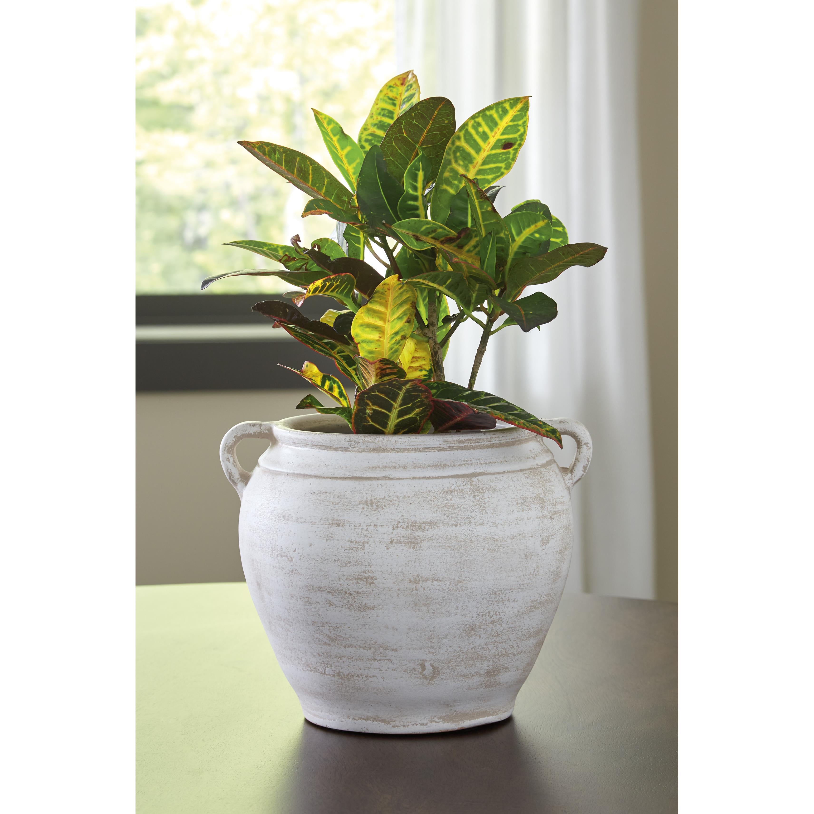 Diamond Modern Furniture Exclusive Design Home Decor Vases & Bowls A2000787 IMAGE 3