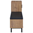 Teller 1-door Entryway Shoe Storage Bench Natural Oak