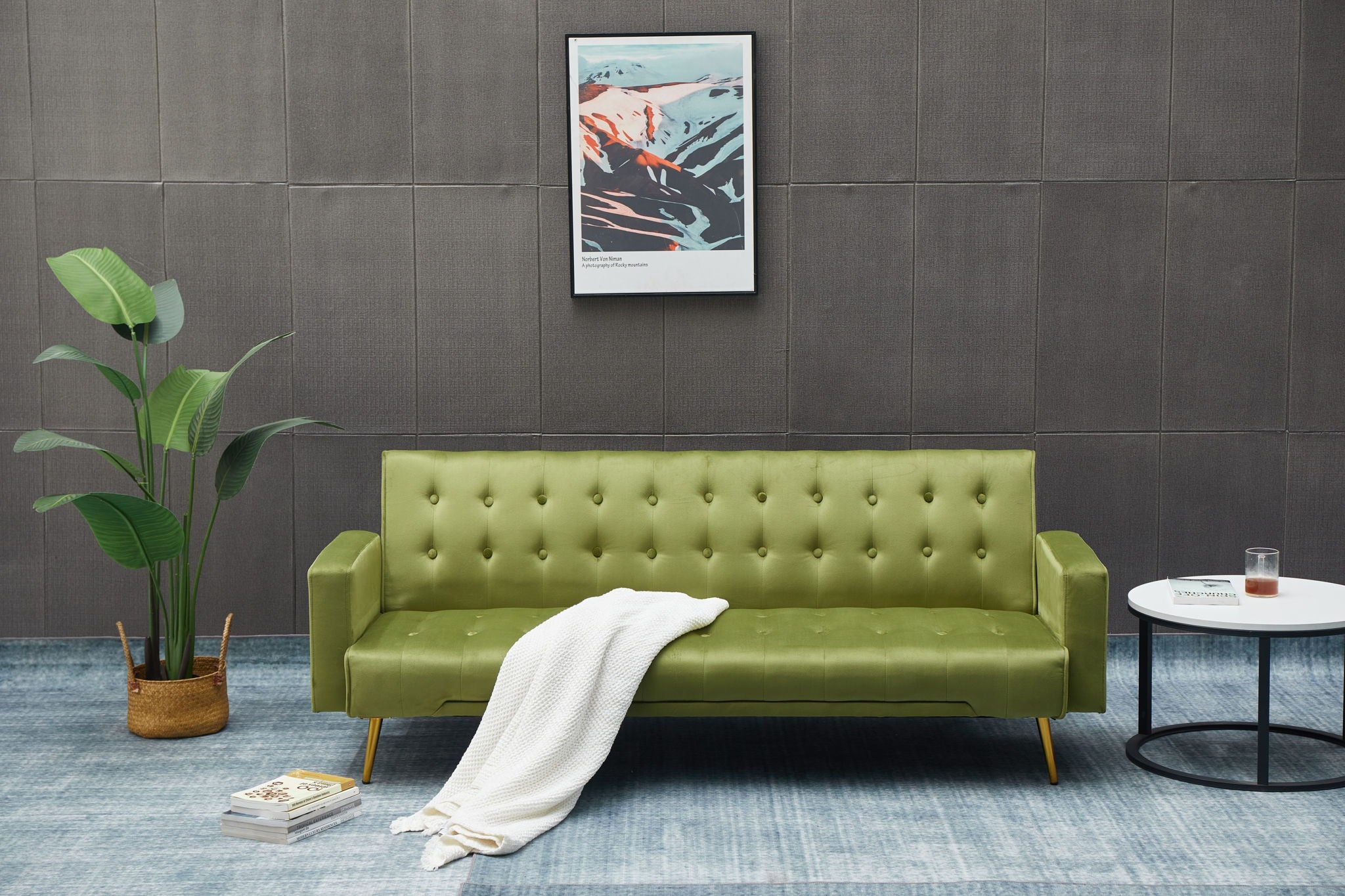 Comfort Compact Design Sofa Bed