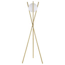 Yamileth 65-inch Spherical Bulb Metal Tripod Floor Lamp Gold