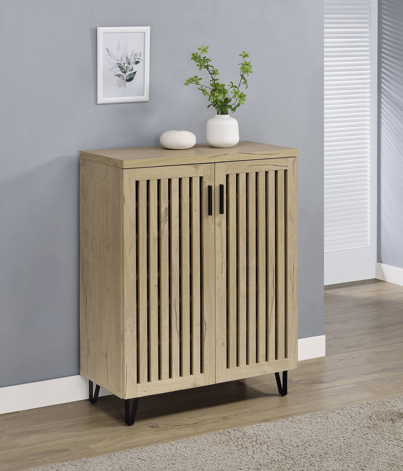 Brixton 2-door Entryway Shoe Storage Cabinets Black