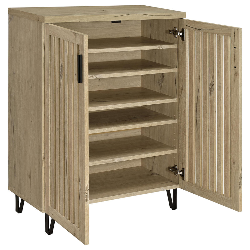 Brixton 2-door Entryway Shoe Storage Cabinets Black