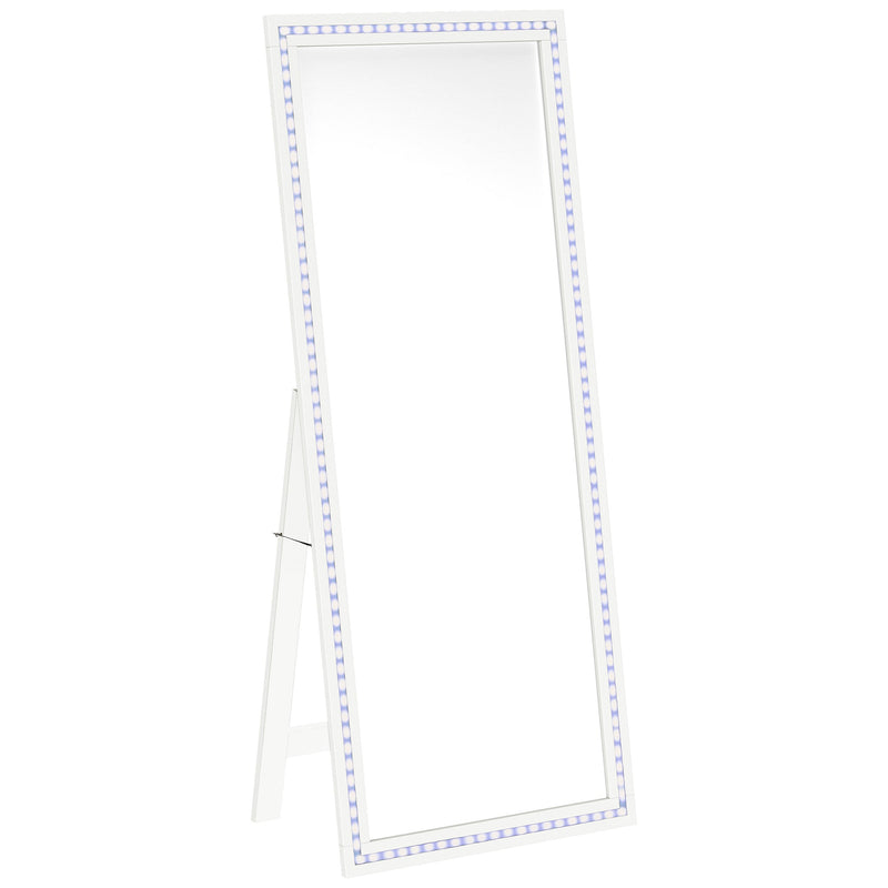 Windrose 28 x 67 Inch Tempered LED Standing Mirror Black