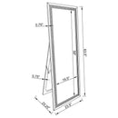 Giddish 24 x 64 Inch  Length Standing Mirror Silver