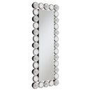 Aghes 24 x 62 Inch Wall Mirror with Lighting Silver