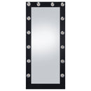 Zayan 32 x 71 Inch Floor Mirror LED Lighting Black Gloss