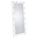Zayan 32 x 71 Inch Floor Mirror LED Lighting Black Gloss