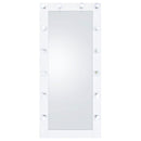 Zayan 32 x 71 Inch Floor Mirror LED Lighting Black Gloss