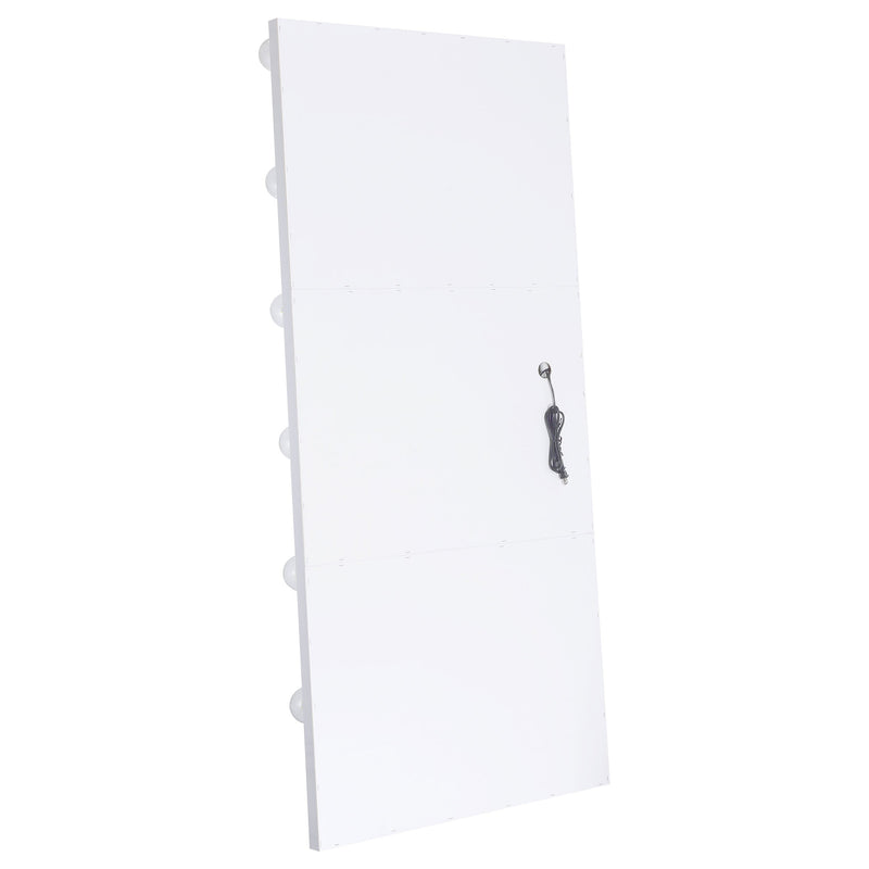 Zayan 32 x 71 Inch Floor Mirror LED Lighting Black Gloss