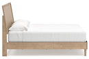 Cielden Panel Bed