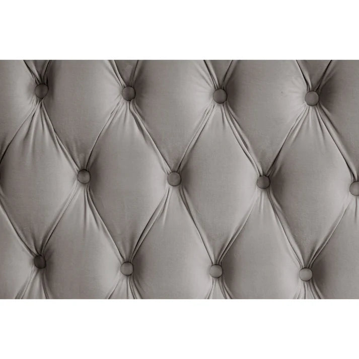 B8010 Royal (Grey)