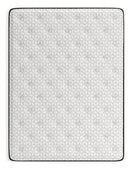 Limited Edition Plush Mattress