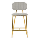 Ariana Grey Counter Stool (Set of 2)