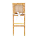 Amara Rattan Performance Fabric Bar Stool
