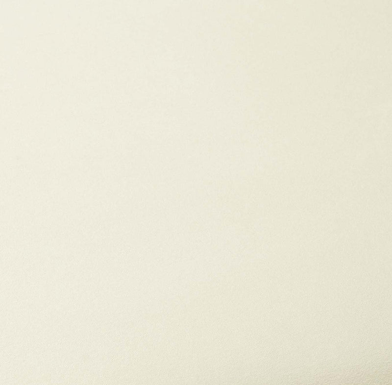 Elise Ivory White Performance Velvet Dining Chair