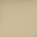 Betsy Taupe Vegan Leather Dining Chair