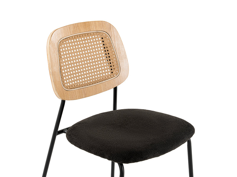 Modern Alizee - Modern Rattan and Black Dining Chair Set of 2