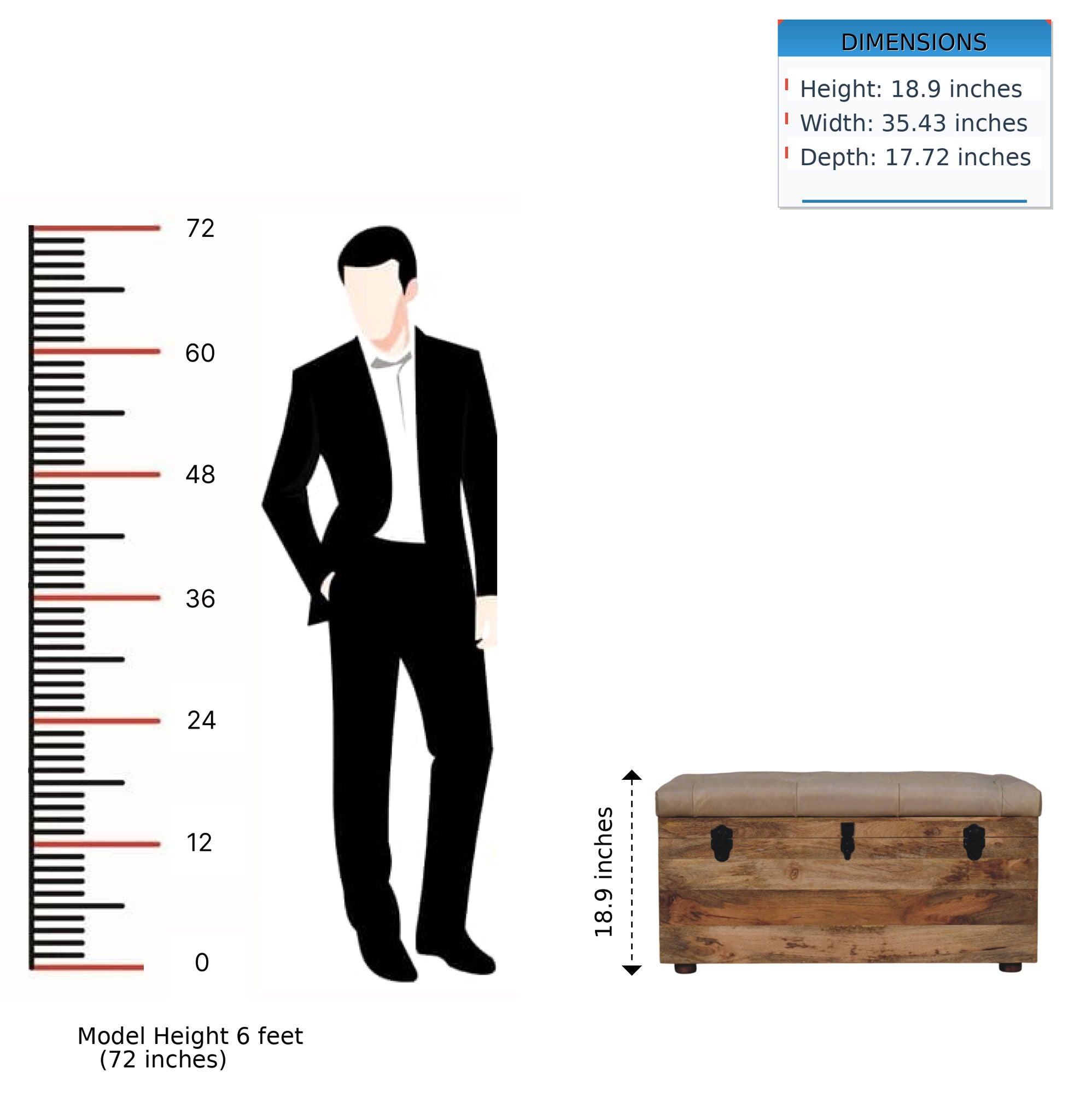 Buffalo - Storage Trunk