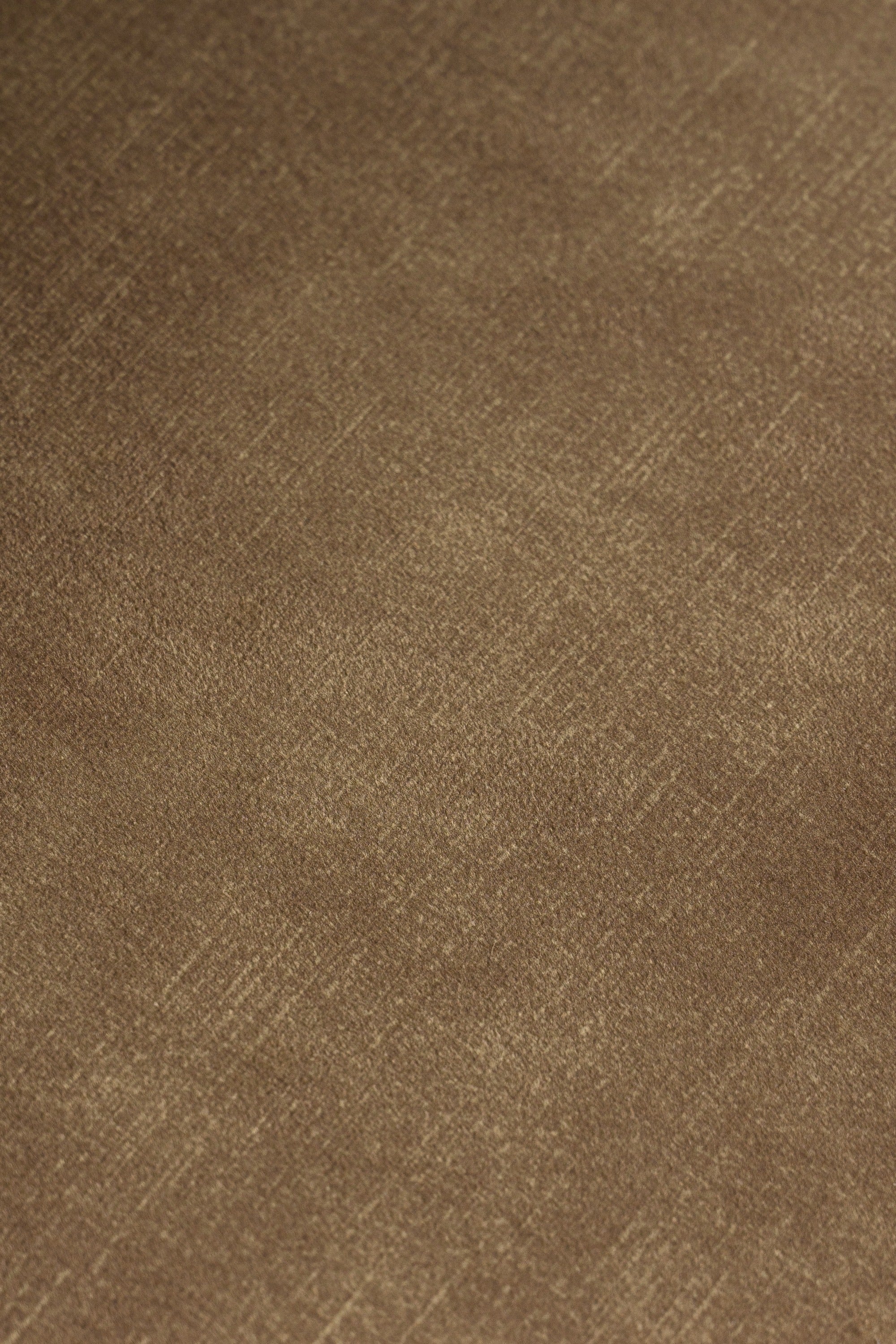 Modrest Ditka - Modern Camel Velvet Dining Chair (Set of 2)