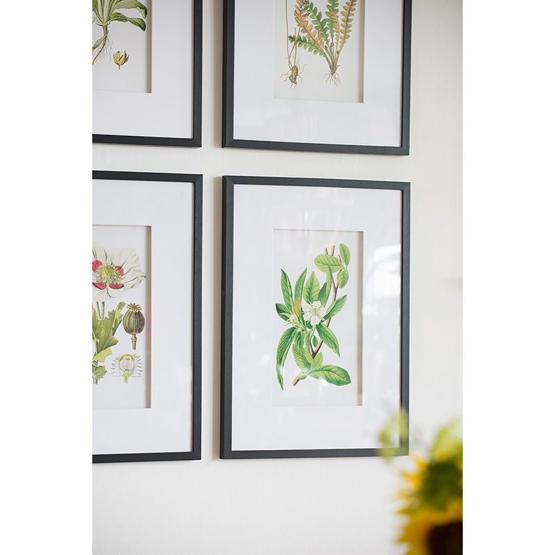 Botanical Flower Wall Art, Home Decor For Living Room Dining Room, Bedroom, Hallway (Set of 4) - White / Blue