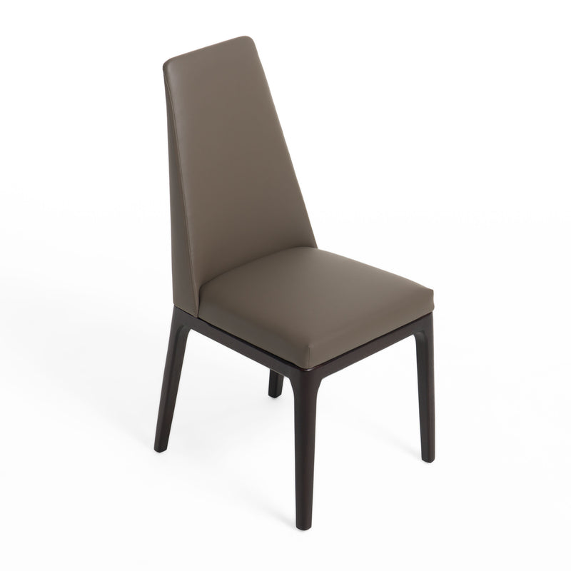 Modrest Encino - Modern Taupe & Timber Chocolate Dining Chair (Set of 2)