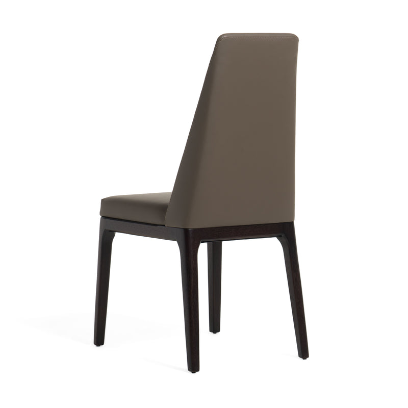 Modrest Encino - Modern Taupe & Timber Chocolate Dining Chair (Set of 2)