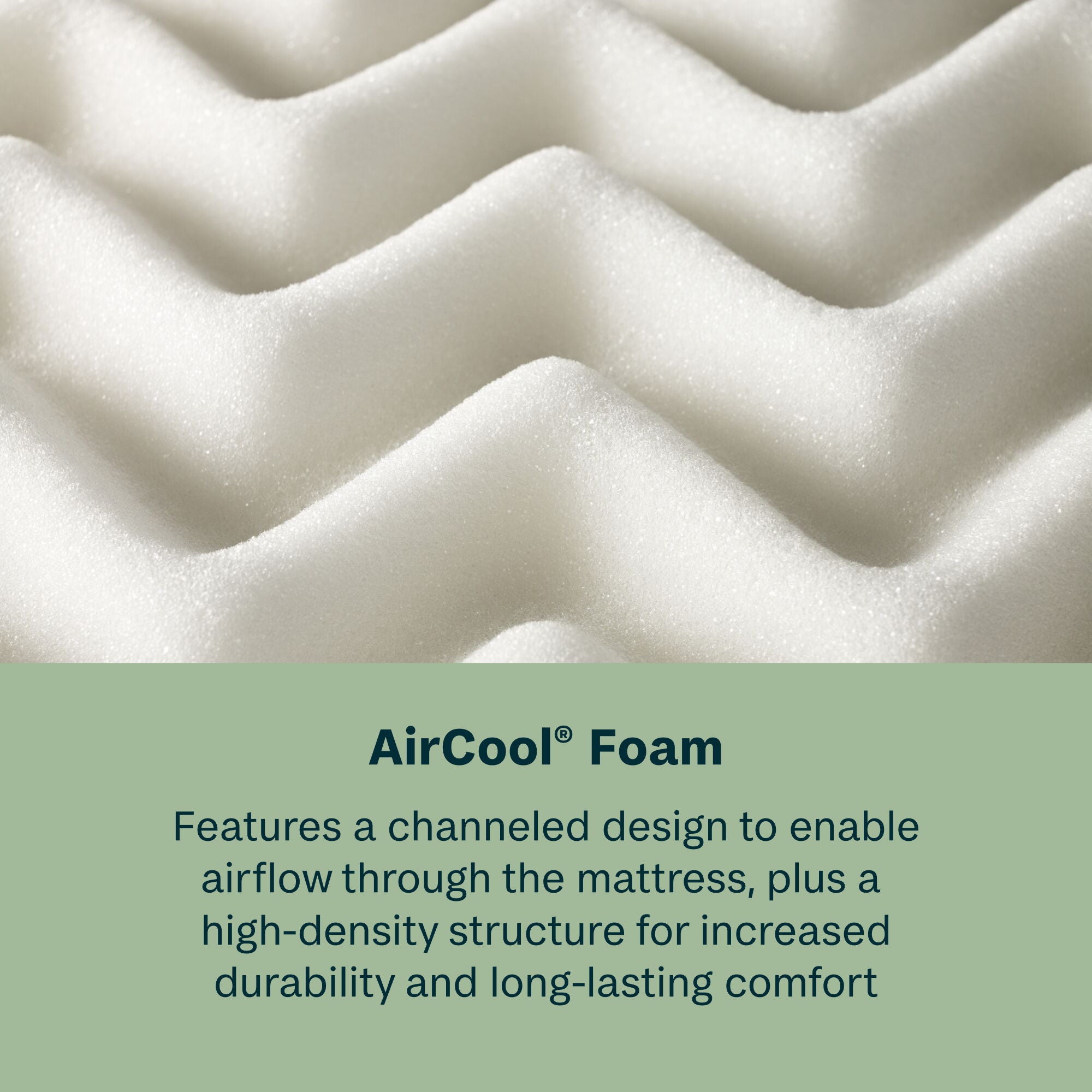 Soothing Nights - 10" Medium Mattress In A Box