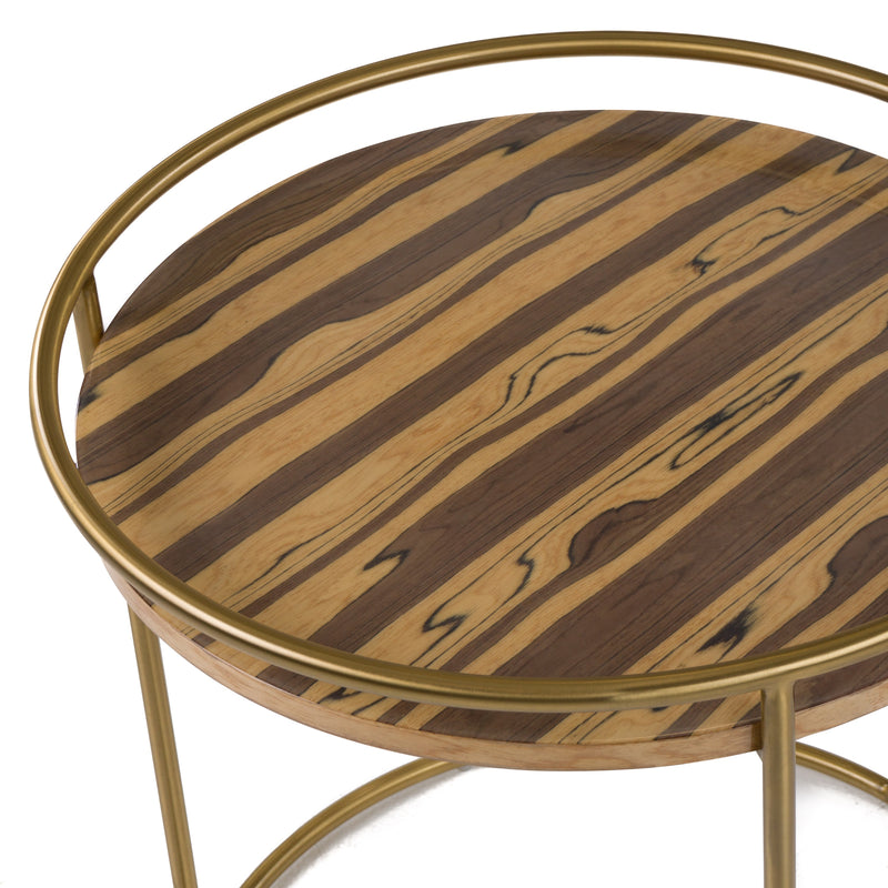 Modrest Gilcrest - Glam Brown and Gold Marble End Table