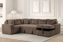 Forever Sectional With Pull-Out Bed