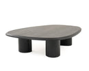 Modrest Summit - Modern Ash Coffee Table Set
